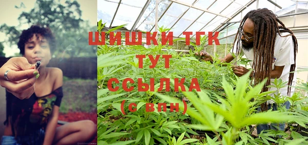 СК Осинники