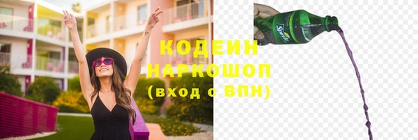 СК Осинники