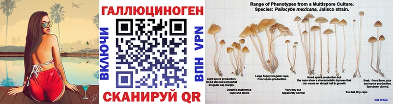Псилоцибиновые грибы GOLDEN TEACHER  MEGA ссылка  Ужур 